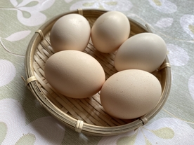鸡蛋