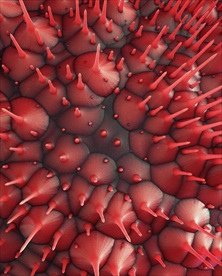 C4D特效设计科幻场景