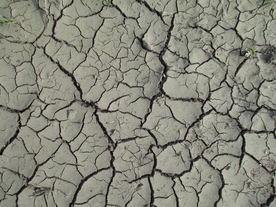 干裂土地龟裂大地图片