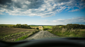 绿色环绕的公路大道图片