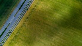 绿色环绕的公路大道图片