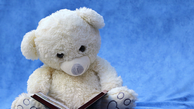 玩具小熊毛绒玩具图片