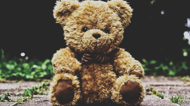 玩具小熊毛绒玩具图片