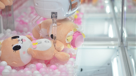 玩具小熊毛绒玩具图片