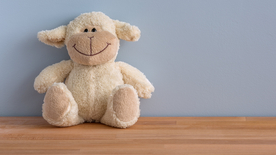 玩具小熊毛绒玩具图片