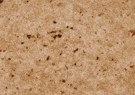 石材纹理材质贴图图片