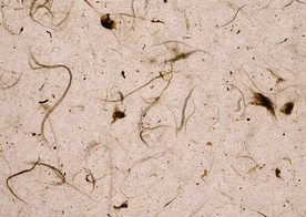 石材纹理材质贴图图片