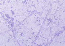 石材纹理材质贴图图片