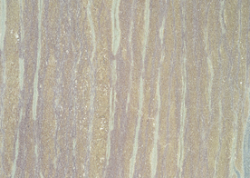 大理石花纹图片