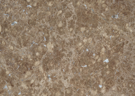 大理石花纹图片