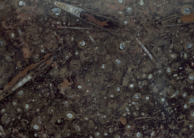 大理石花纹图片