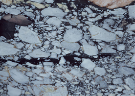 大理石花纹图片