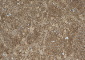 大理石花纹图片