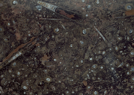 大理石花纹图片