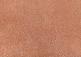 皮革纹理素材图片