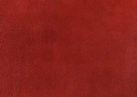 皮革纹理素材图片