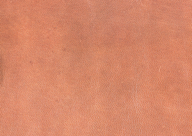 皮革纹理素材图片