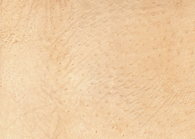 皮革纹理素材图片