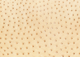 皮革纹理素材图片