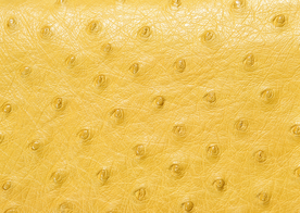 皮革纹理素材图片