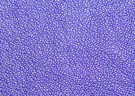 皮革纹理素材图片