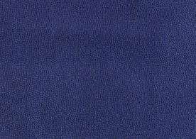 皮革纹理素材图片