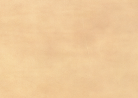 皮革纹理素材图片