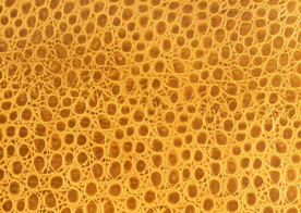 皮革纹理素材图片