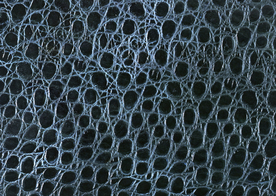 皮革纹理素材图片