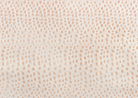 皮革纹理素材图片