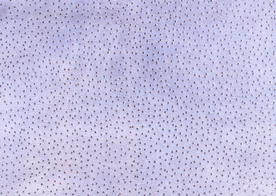 皮革纹理素材图片