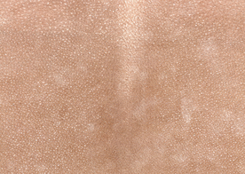 皮革纹理素材图片