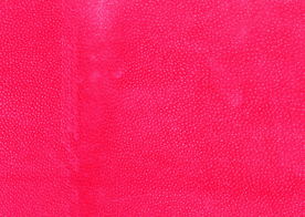 皮革纹理素材图片