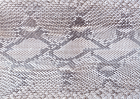 皮革纹理素材图片