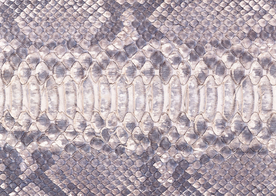 皮革纹理素材图片