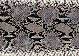 皮革纹理素材图片