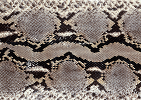 皮革纹理素材图片