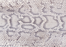 皮革纹理素材图片