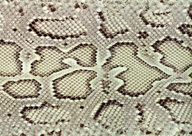 皮革纹理素材图片