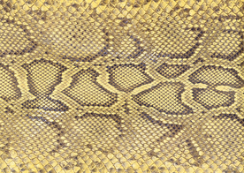 皮革纹理素材图片