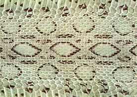 皮革纹理素材图片