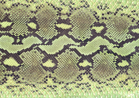 皮革纹理素材图片