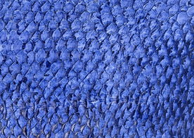 皮革纹理素材图片