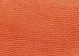 皮革纹理素材图片