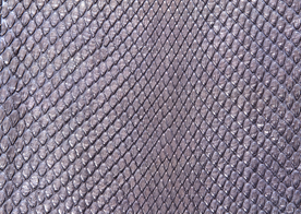 皮革纹理素材图片