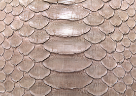 皮革纹理素材图片