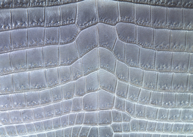 皮革纹理素材图片