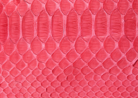 皮革纹理素材图片