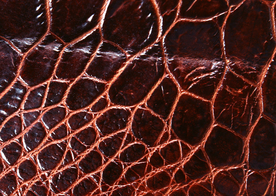 皮革纹理素材图片