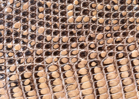 皮革纹理素材图片